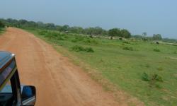 Featured image of post Road Trip