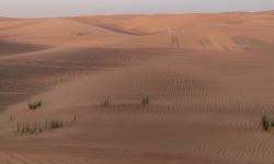 Featured image of post UAE