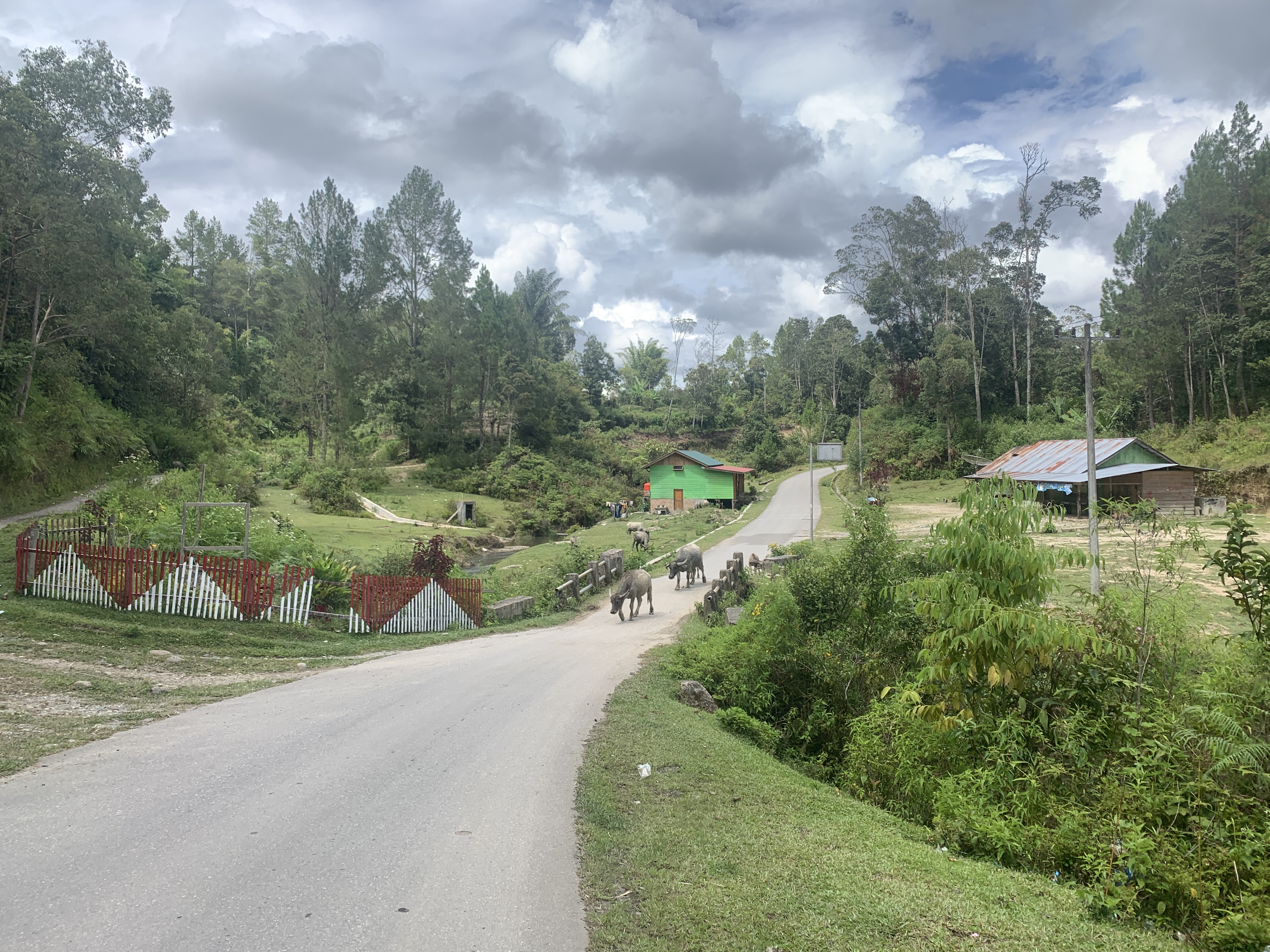 The road around Samosir