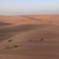 The Ultimate UAE Road Trip - Dubai, Abu Dhabi, Al Ain and Ras Al Khaima